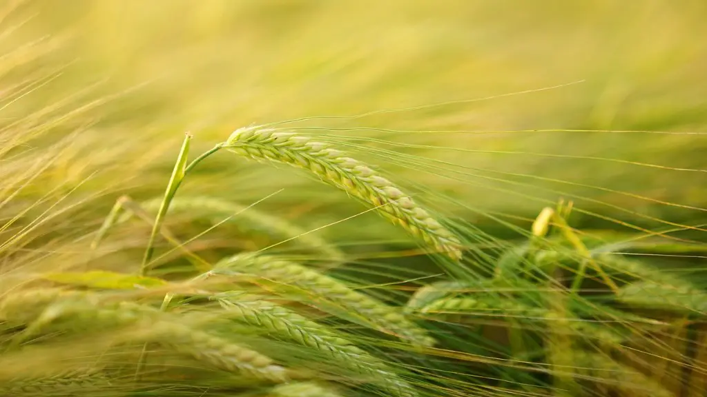 How To Get More Income In Agriculture