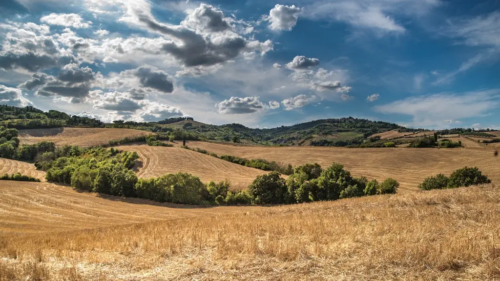 What is the agriculture in california?