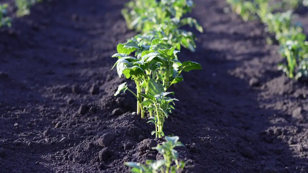 What is non agriculture?