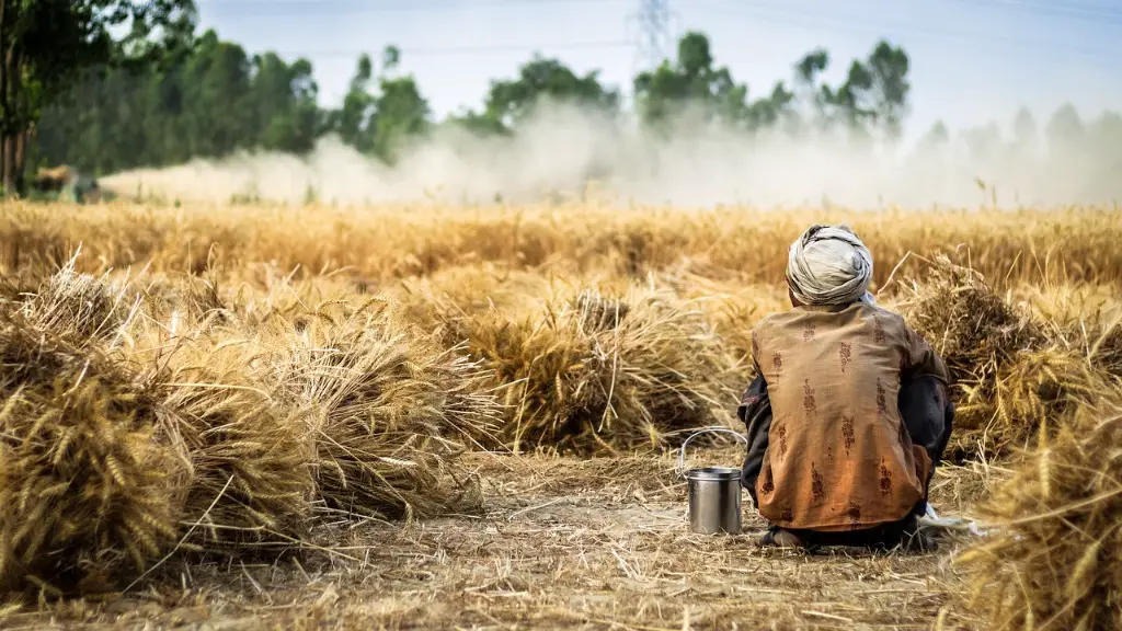 What is the difference between traditional and industrial agriculture?