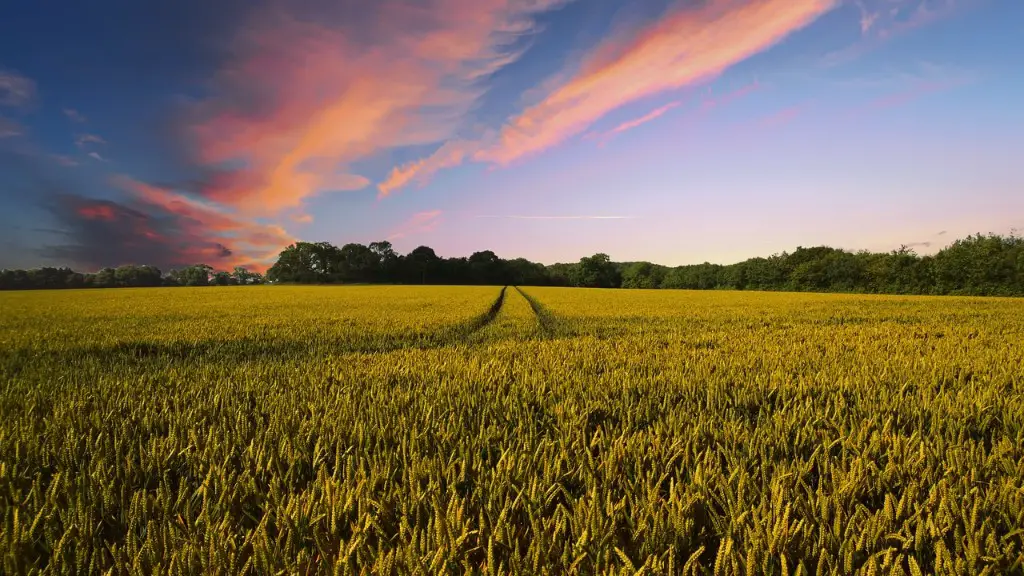 What is the agriculture in texas?