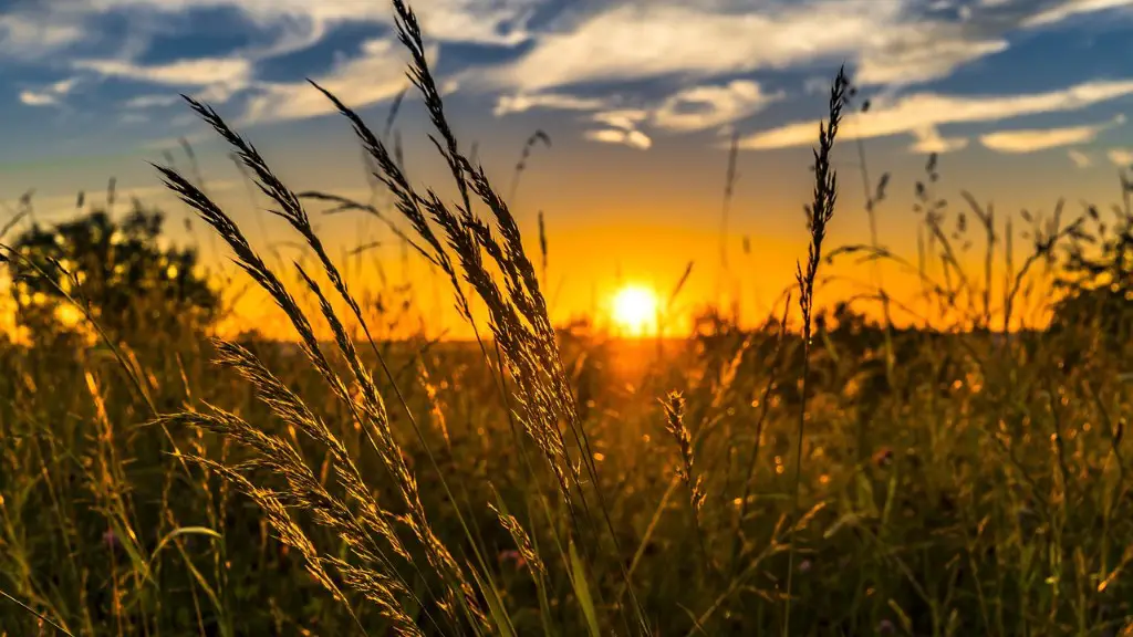 How much does agriculture contribute to the uk economy?