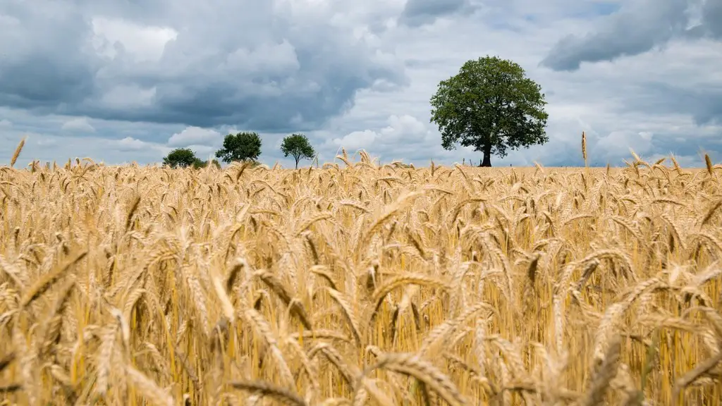 How has agriculture contributed to climate change?