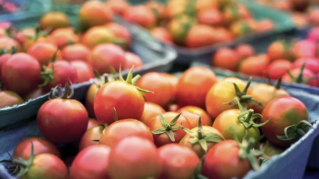 What is the importance of irrigation in agriculture?