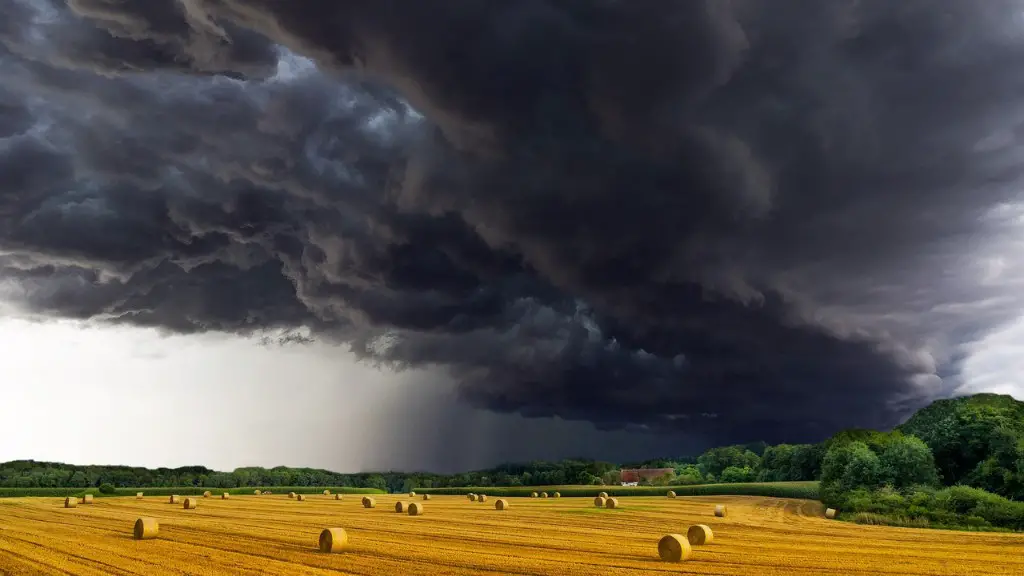 What is natural pasture in agriculture?