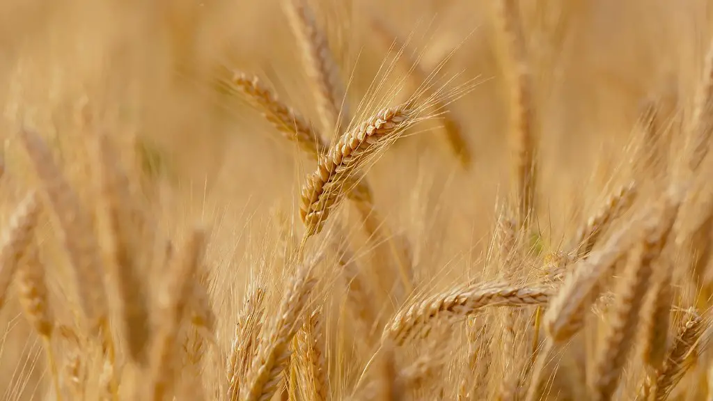 How To Build Water Tank For Agriculture