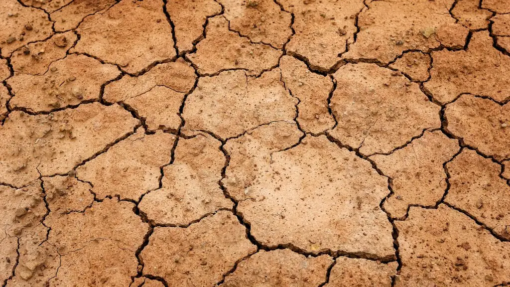 What Is The Role Of Nitrogen Fixation In Agriculture