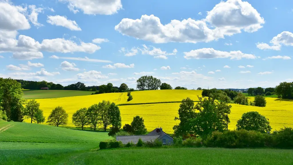 When did agriculture first start?