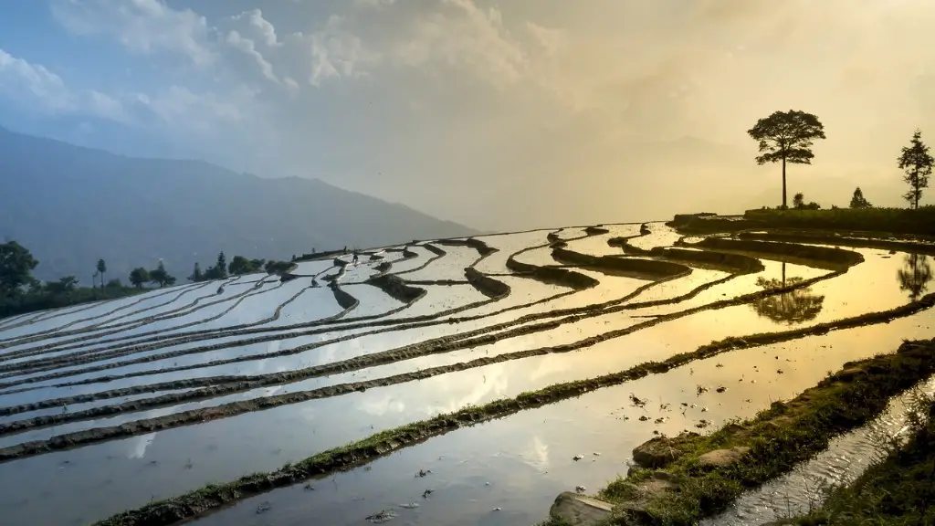 Why is industrial agriculture unsustainable?