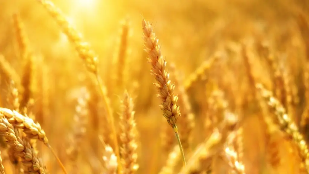 What is mixed farming in agriculture?