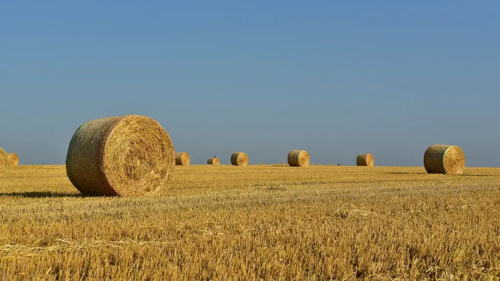 Is agriculture a perfectly competitive market?