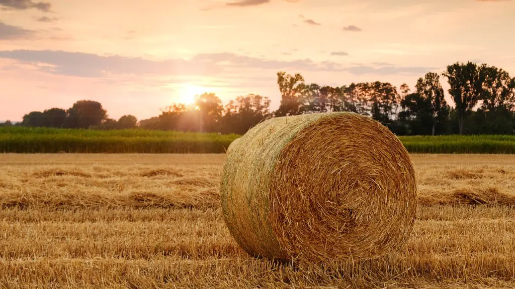 What is zero tillage in agriculture?