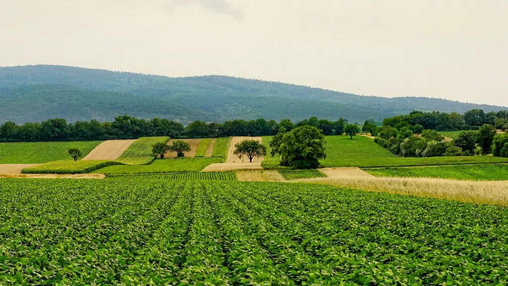 What is intensive commercial agriculture?