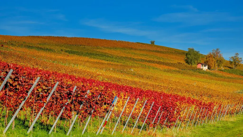 How does agriculture cause desertification?