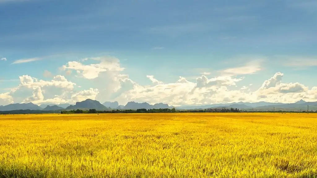 What inventions changed agriculture?