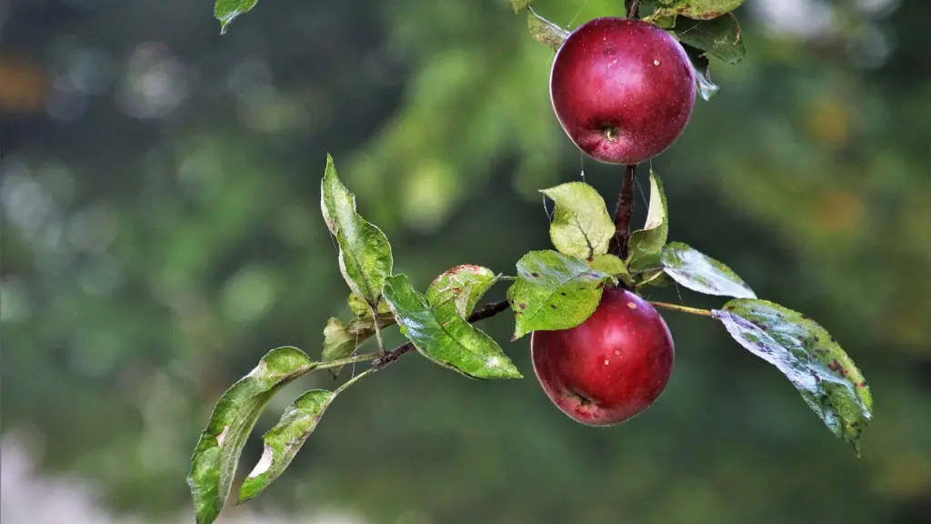 Is Agriculture Perfect Competition