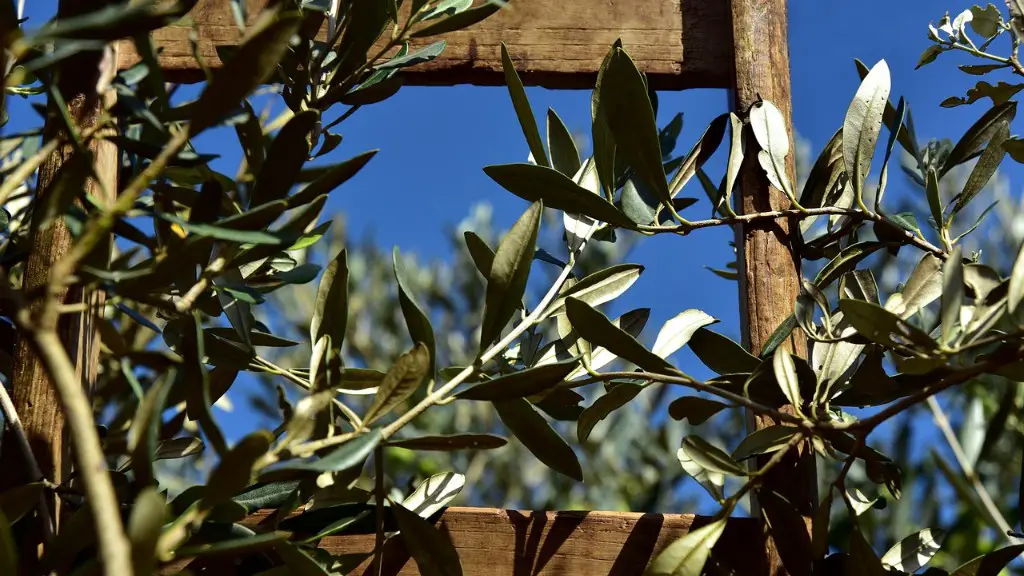 What are the benefits of studying agriculture?