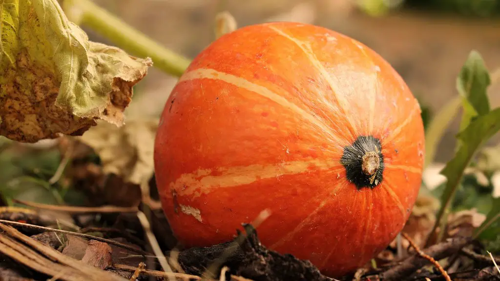 Has agriculture changed over years?