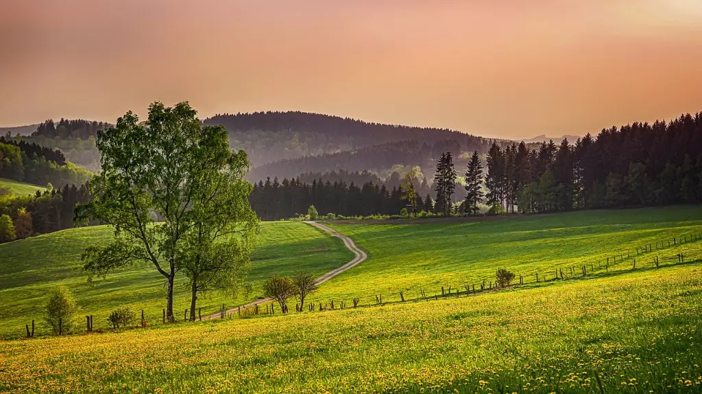 A agriculture forestry and fishing?