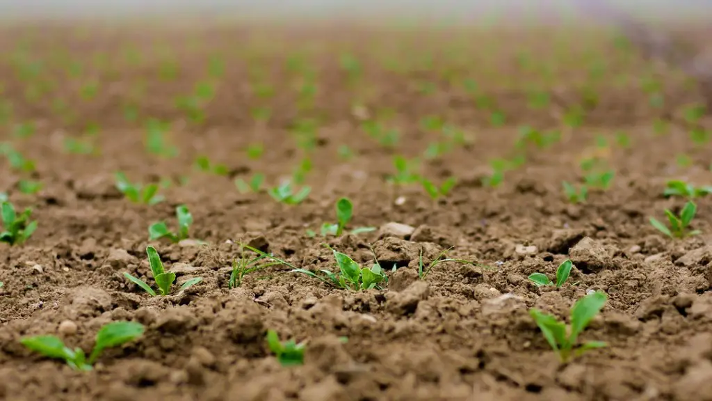 What Is The Salary Of Agriculture