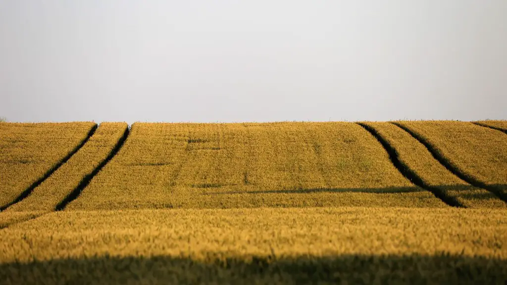 How does a recession affect agriculture?