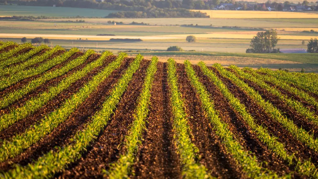 How much water does the agriculture industry use?