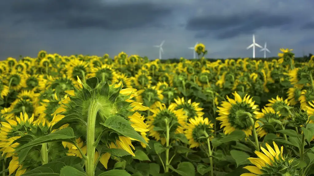 How much does agriculture contribute to the uk economy?