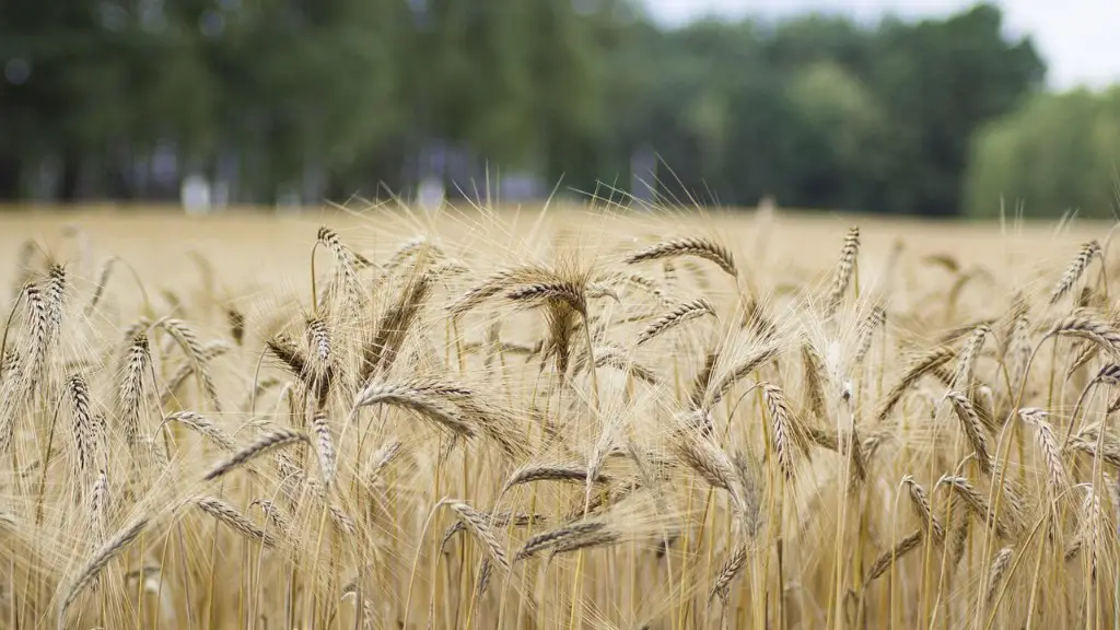 How does climate affect agriculture?