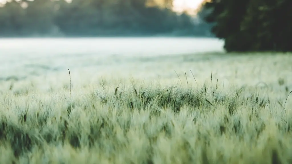 What is non agriculture?