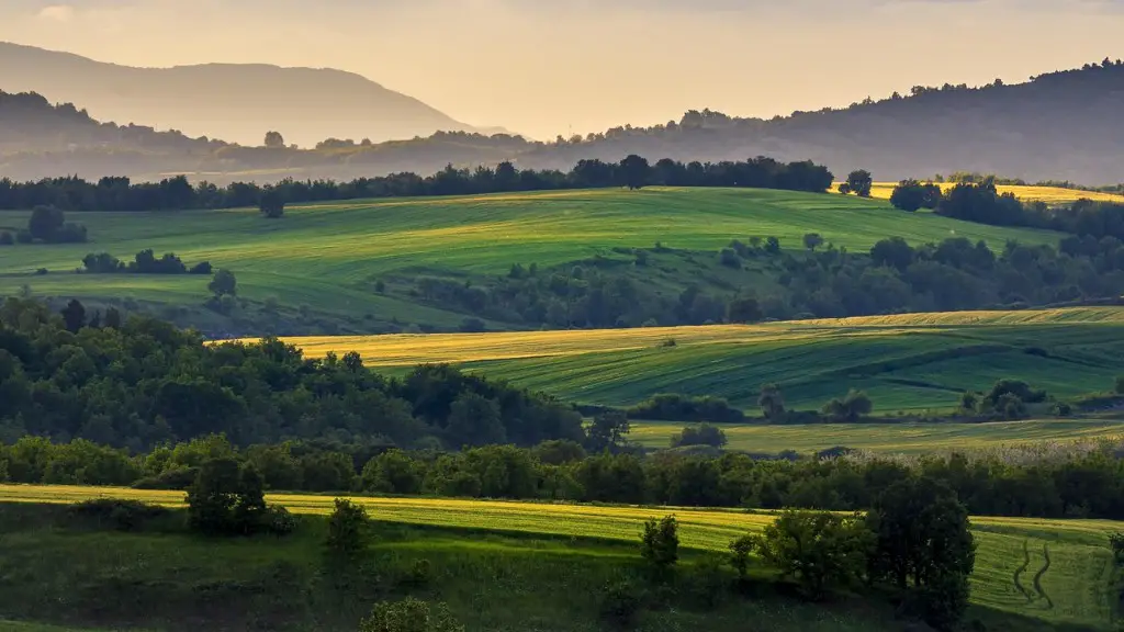 How much of land is used for animal agriculture?