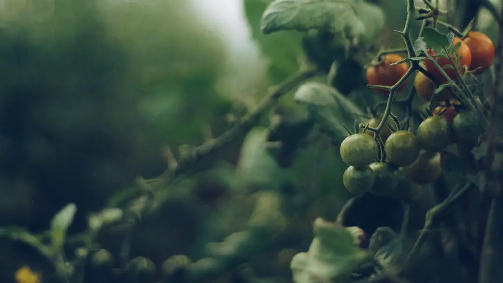 How Does Agriculture Help In Economic Development