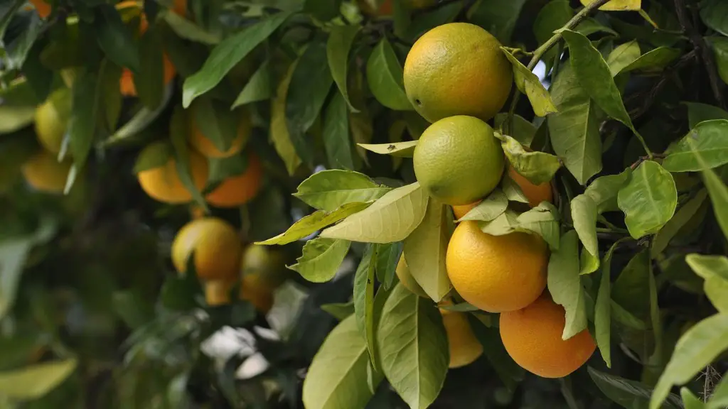 What agriculture is ohio known for?