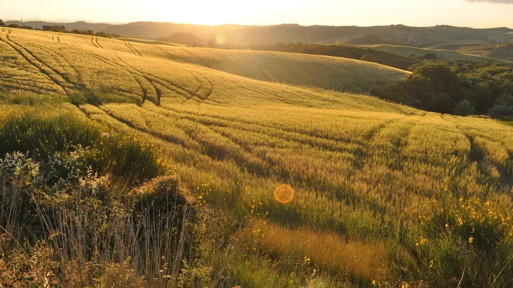 Does uc has agriculture?