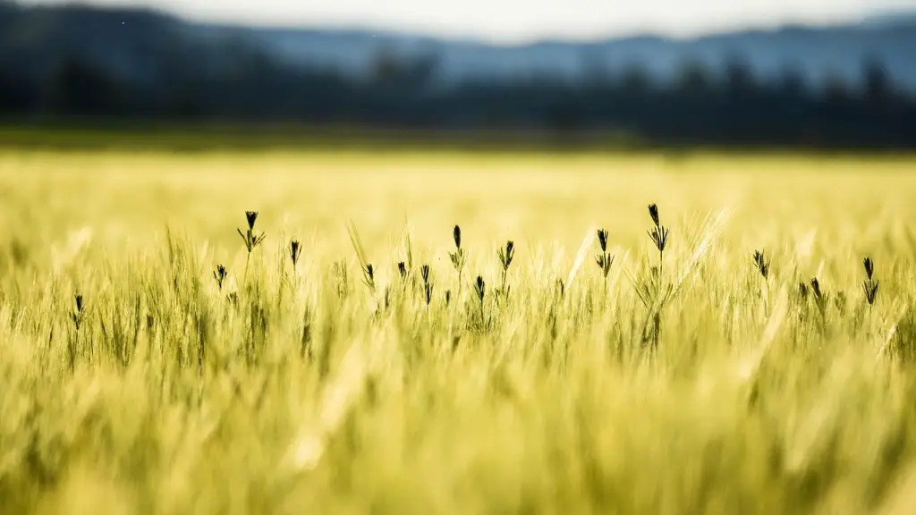 How does agriculture cause desertification?