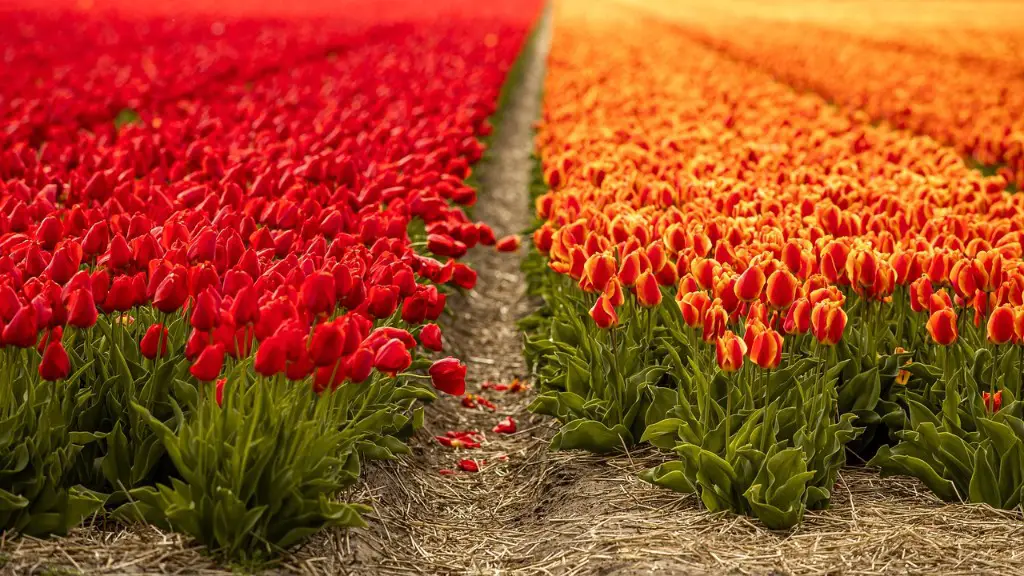 What is competition in agriculture?