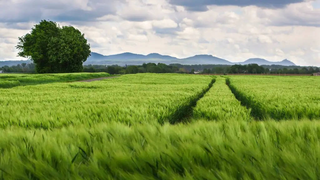 What are the effects of agriculture?