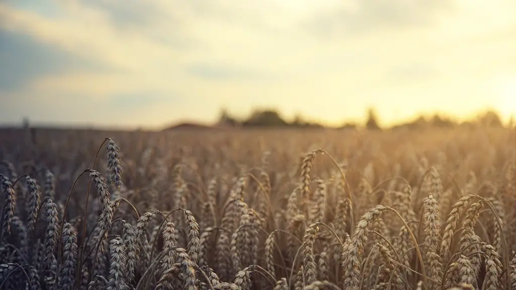 Is clay soil good for agriculture?