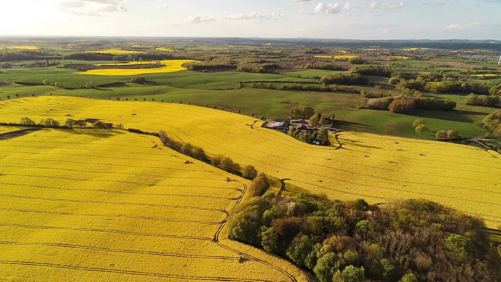 What is the foundation of agriculture?