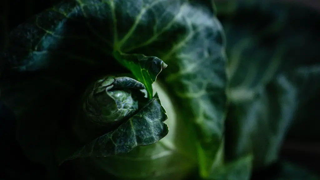 What is the role of agriculture in food security?