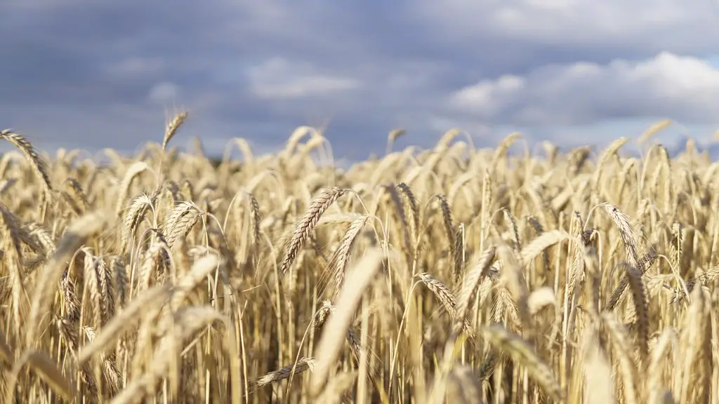 Why Is Agriculture Important In The Us