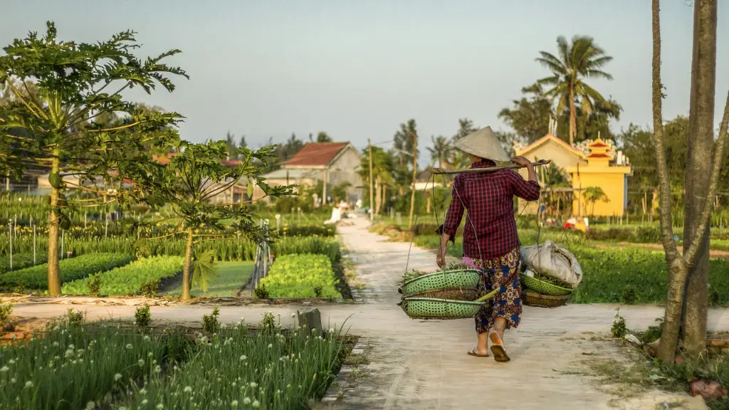 How does agriculture affect rivers?