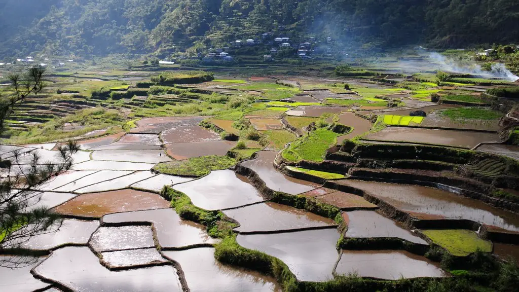 How is germany’s climate good for agriculture?