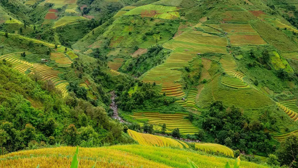 Is agriculture a perfectly competitive market?