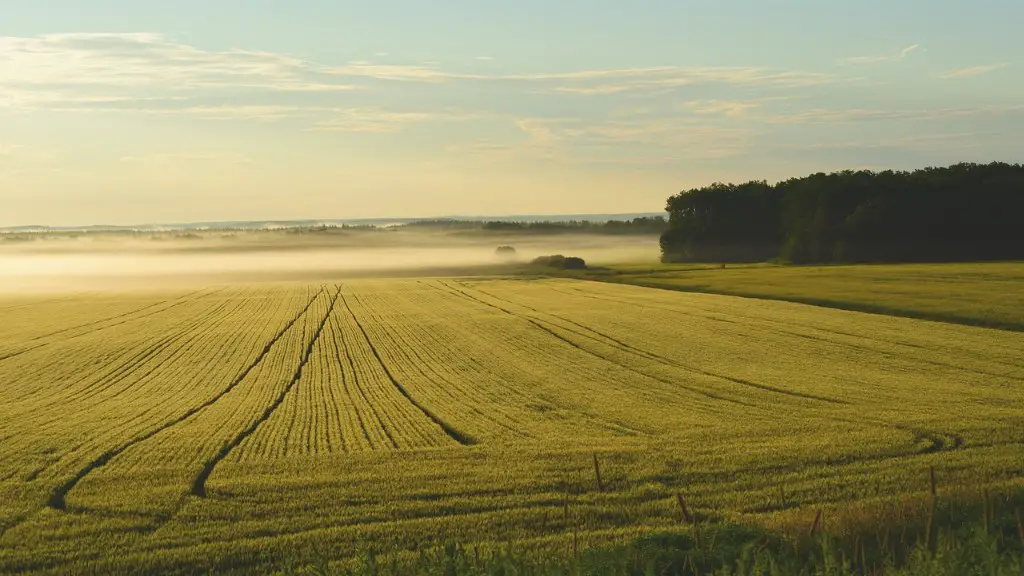 What encouraged large scale agriculture in the southern colonies?