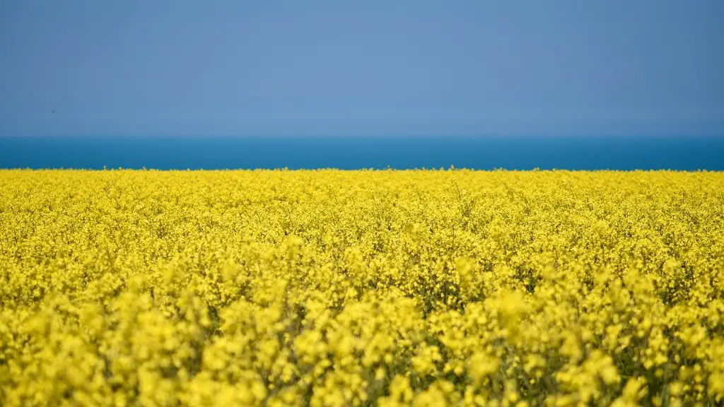 What Are The Advantages Of Slash And Burn Agriculture