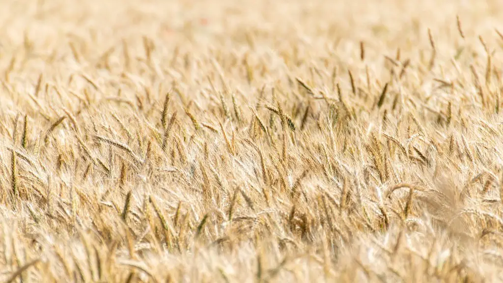 What Is Flooding In Agriculture