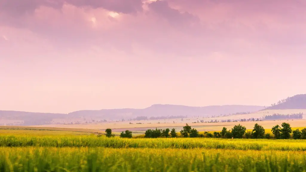What is hawaii agriculture?