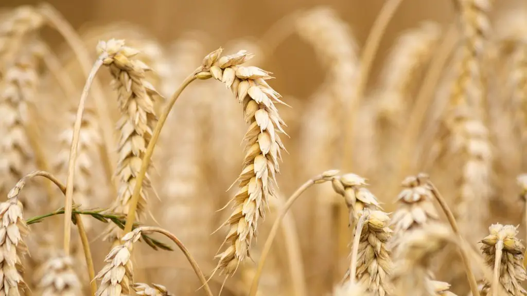 How Much Water Is Used For Agriculture Each Year