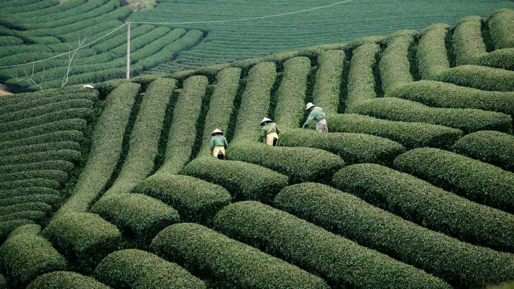 How Much Water Is Used For Agriculture Each Year