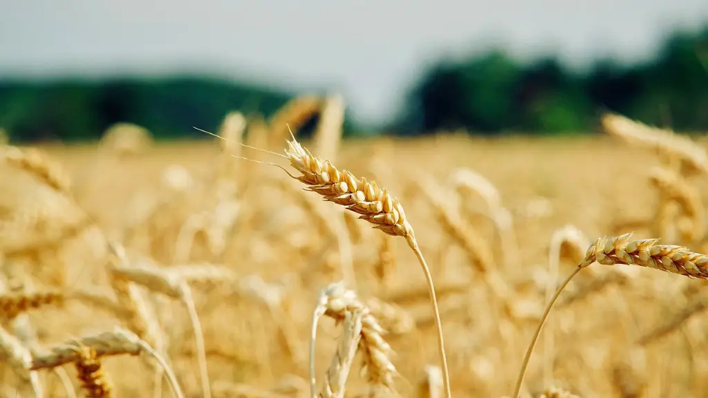 How Does Climate Affect Agriculture In Australia